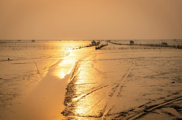 Est-il possible de louer une maison de vacances en Bretagne avec des cours de cuisine et des randonnées sur les sentiers côtiers?