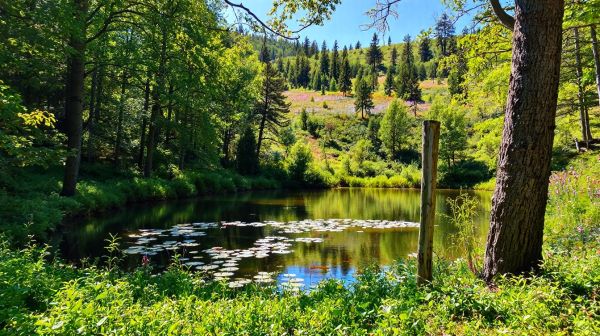 Top 5 campings en Corrèze pour des vacances inoubliables
